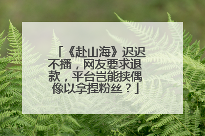 《赴山海》迟迟不播，网友要求退款，平台岂能挟偶像以拿捏粉丝？