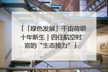 「绿色发展」千亩荷塘 十年新生｜四任航空村官的“生态接力”
