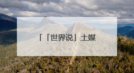 「世界说」土媒：美国关税决策摇摆不定 全球不确定性持续攀升