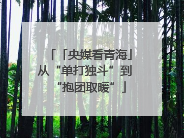 「央媒看青海」从“单打独斗”到“抱团取暖”