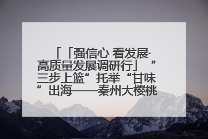 「强信心 看发展·高质量发展调研行」“三步上篮”托举“甘味”出海——秦州大樱桃高质量发展动作分解