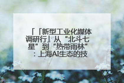 「新型工业化媒体调研行」从“北斗七星”到“热带雨林”：上海AI生态的技术商业共生密码