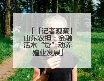 「记者观察」山东农担：金融活水“贷”动养殖业发展