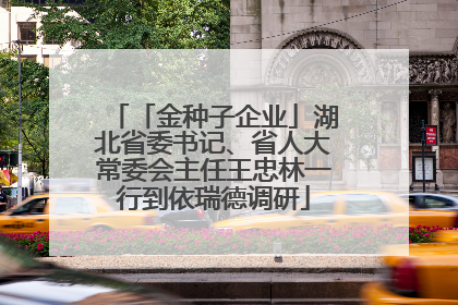 「金种子企业」湖北省委书记、省人大常委会主任王忠林一行到依瑞德调研
