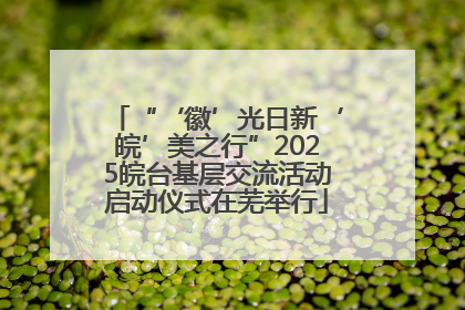“‘徽’光日新‘皖’美之行”2025皖台基层交流活动启动仪式在芜举行