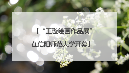 “王璇绘画作品展”在信阳师范大学开幕