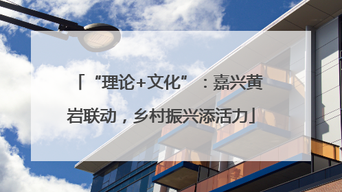 “理论+文化”：嘉兴黄岩联动，乡村振兴添活力