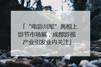 “电影川军”亮相上影节市场展，成都影视产业引发业内关注