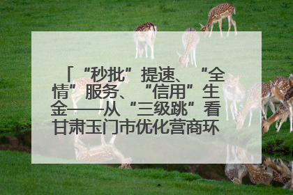 “秒批”提速、“全情”服务、“信用”生金——从“三级跳”看甘肃玉门市优化营商环境的进阶之路