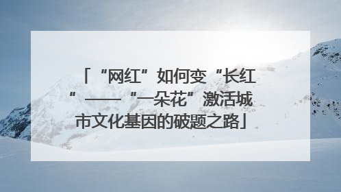 “网红”如何变“长红”——“一朵花”激活城市文化基因的破题之路