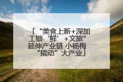“美食上新+深加工锁‘鲜’+文旅”延伸产业链 小杨梅“撬动”大产业