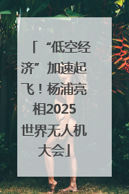 “低空经济”加速起飞！杨浦亮相2025世界无人机大会