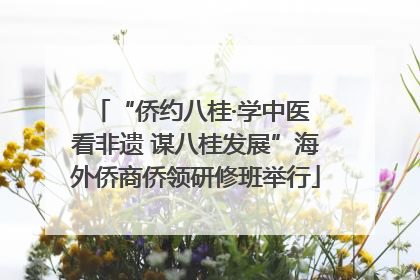 “侨约八桂·学中医 看非遗 谋八桂发展”海外侨商侨领研修班举行