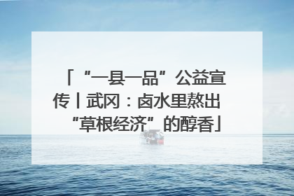 “一县一品”公益宣传丨武冈：卤水里熬出“草根经济”的醇香