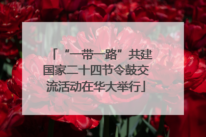 “一带一路”共建国家二十四节令鼓交流活动在华大举行
