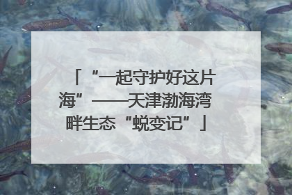 “一起守护好这片海”——天津渤海湾畔生态“蜕变记”