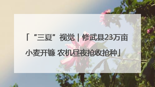 “三夏”视觉｜修武县23万亩小麦开镰 农机昼夜抢收抢种