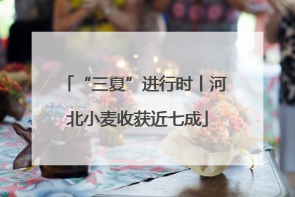 “三夏”进行时丨河北小麦收获近七成