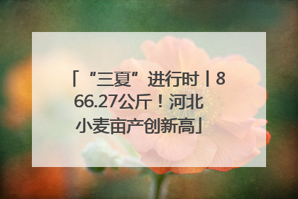 “三夏”进行时丨866.27公斤！河北小麦亩产创新高