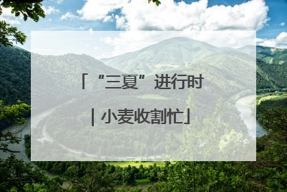 “三夏”进行时｜小麦收割忙
