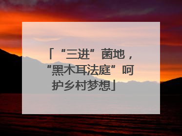“三进”菌地，“黑木耳法庭”呵护乡村梦想