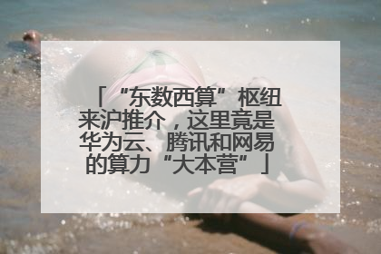 “东数西算”枢纽来沪推介，这里竟是华为云、腾讯和网易的算力“大本营”