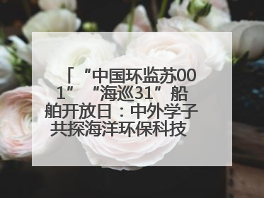 “中国环监苏001”“海巡31”船舶开放日：中外学子共探海洋环保科技 跨文化交流筑牢“蓝色”友谊