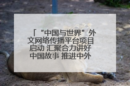 “中国与世界”外文网络传播平台项目启动 汇聚合力讲好中国故事 推进中外文明交流互鉴