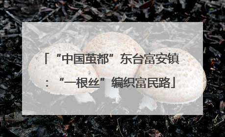 “中国茧都”东台富安镇：“一根丝”编织富民路