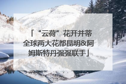 “云荷”花开并蒂 全球两大花都昆明&阿姆斯特丹强强联手