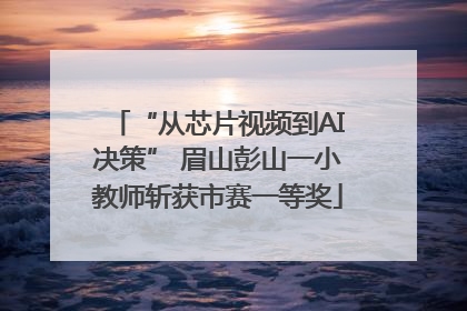 “从芯片视频到AI决策” 眉山彭山一小教师斩获市赛一等奖