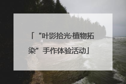 “叶影拾光·植物拓染”手作体验活动
