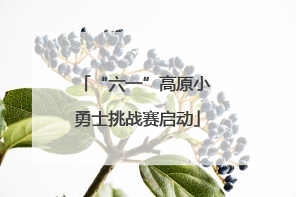“六一”高原小勇士挑战赛启动