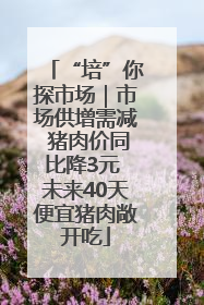 “培”你探市场｜市场供增需减 猪肉价同比降3元 未来40天便宜猪肉敞开吃
