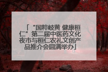 “国粹岐黄 健康桓仁”第二届中医药文化夜市与桓仁农礼文创产品推介会圆满举办