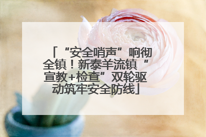 “安全哨声”响彻全镇！新泰羊流镇“宣教+检查”双轮驱动筑牢安全防线