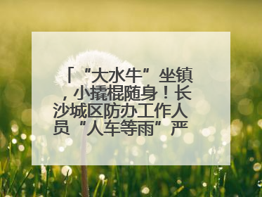“大水牛”坐镇，小撬棍随身！长沙城区防办工作人员“人车等雨”严阵以待