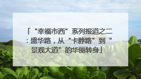 “幸福市西”系列报道之二：盛华路，从“卡脖路”到“景观大道”的华丽转身