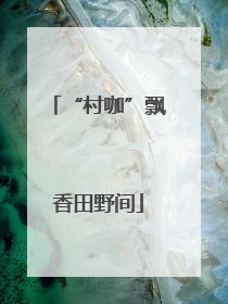 “村咖”飘香田野间