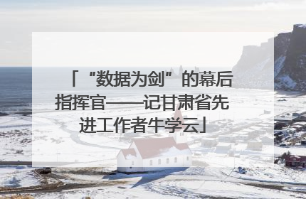 “数据为剑”的幕后指挥官——记甘肃省先进工作者牛学云