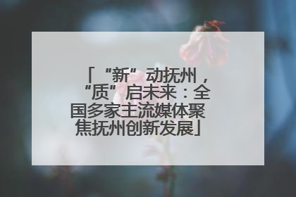 “新”动抚州，“质”启未来：全国多家主流媒体聚焦抚州创新发展