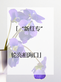 “新红专”轮亮相海口