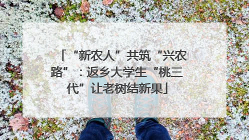“新农人”共筑“兴农路”：返乡大学生“桃三代”让老树结新果