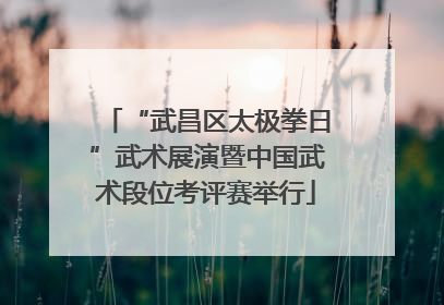 “武昌区太极拳日”武术展演暨中国武术段位考评赛举行