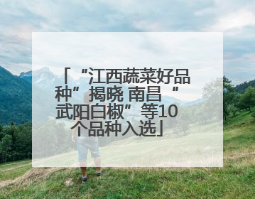 “江西蔬菜好品种”揭晓 南昌“武阳白椒”等10个品种入选