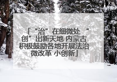 “治”在细微处 “创”出新天地 内蒙古积极鼓励各地开展法治微改革 小创新