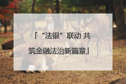 “法银”联动 共筑金融法治新篇章