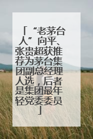 “老茅台人”向平、张贵超获推荐为茅台集团副总经理人选，后者是集团最年轻党委委员