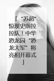 “苏超”惊现史前拉拉队！中华恐龙园“恐龙大军”将亮相开幕式