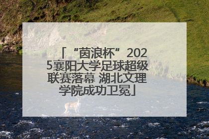 “茵浪杯”2025襄阳大学足球超级联赛落幕 湖北文理学院成功卫冕